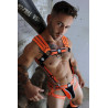 Breedwell Harnais Circuit Breaker Orange